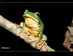 DSC_5572.jpg