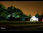 DSC_5597.jpg