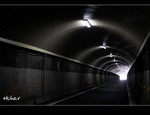 DSC 6945