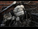 DSC 0353
