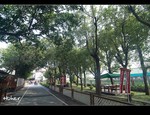 DSC 0666