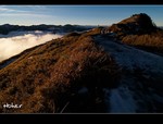 DSC 9051