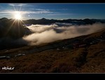 DSC 9054