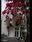 DSC 3499