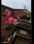 DSC 3503
