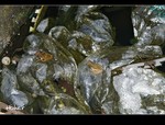 DSC 3622