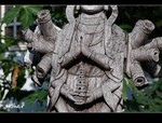 DSC 0354