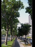 �ʭ��ۤ��G ����](��߬��N�])