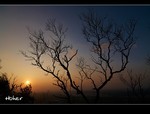 DSC 5504