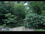 DSC 5089