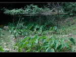 DSC 5090