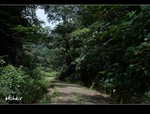 DSC 5093