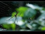 DSC 5115
