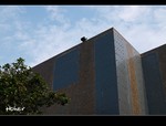 DSC 7517
