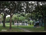 DSC 7518