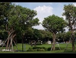 DSC 7521