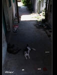 �ʭ��ۤ��G �x�n�����I