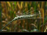 �ʭ��ۤ��G 201103�j���p����