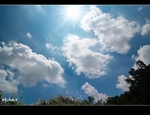 DSC_9667.jpg