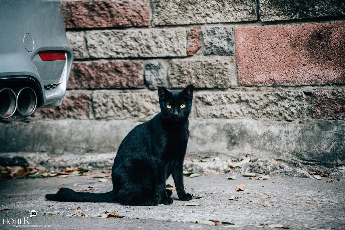 2026.02.07 sNaP(每日一拍)