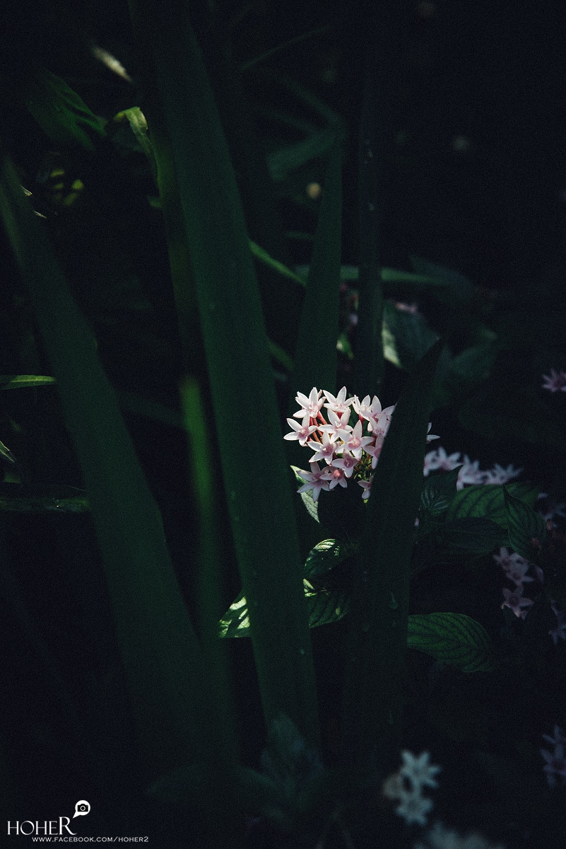 2025.06.10 sNaP(每日一拍)