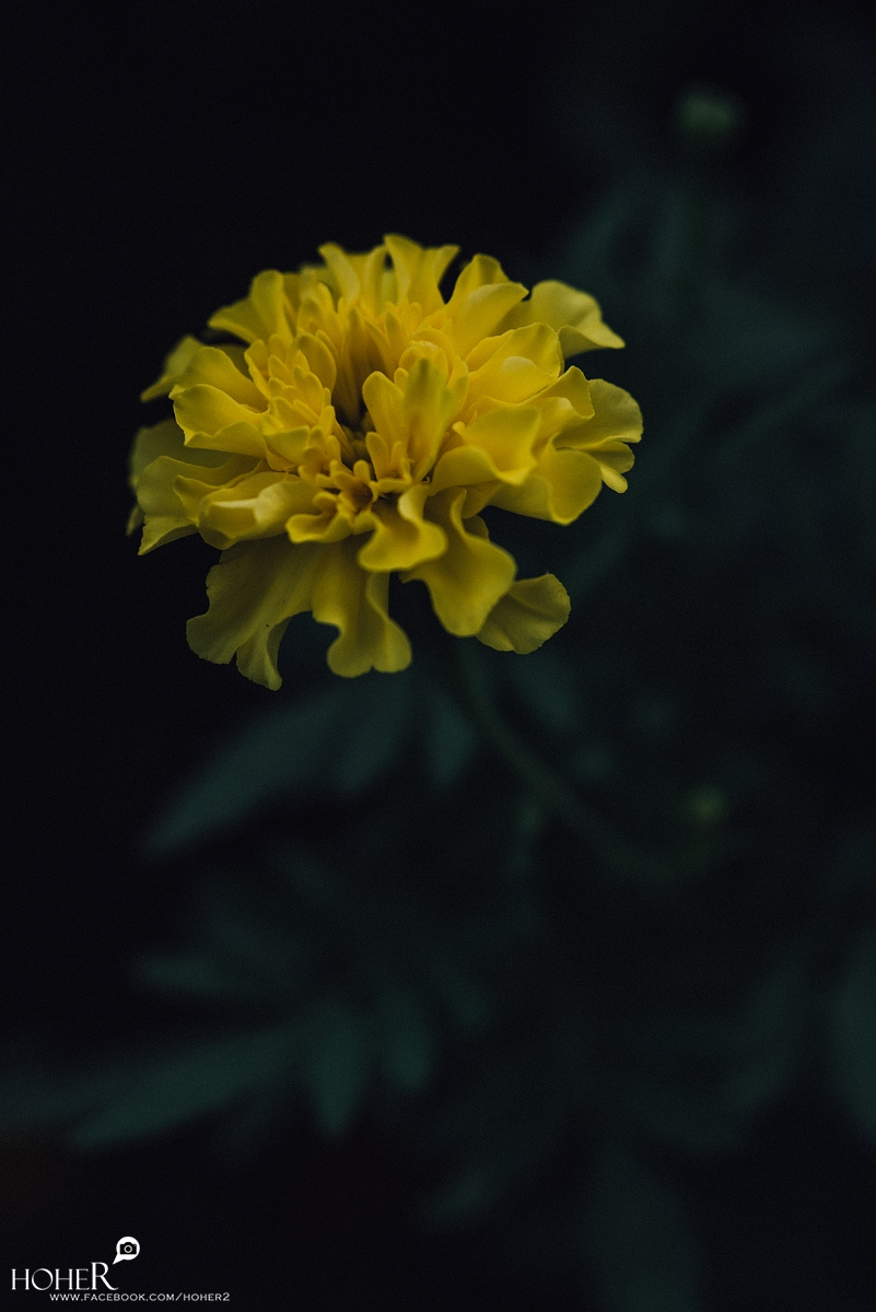 2025.06.18 sNaP(每日一拍)