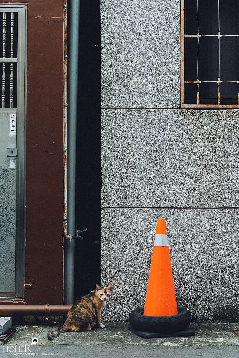 2025.07.02 sNaP(每日一拍)