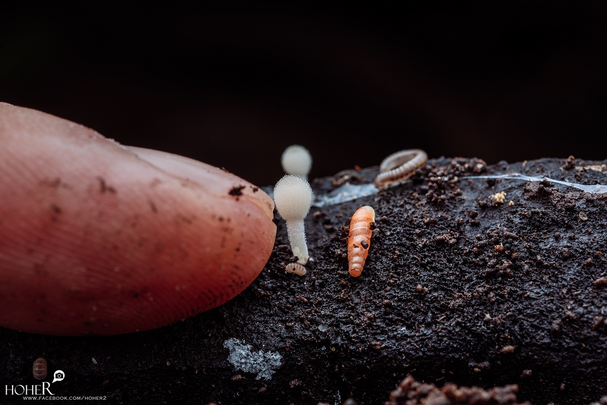 2025.10.18 sNaP(每日一拍)