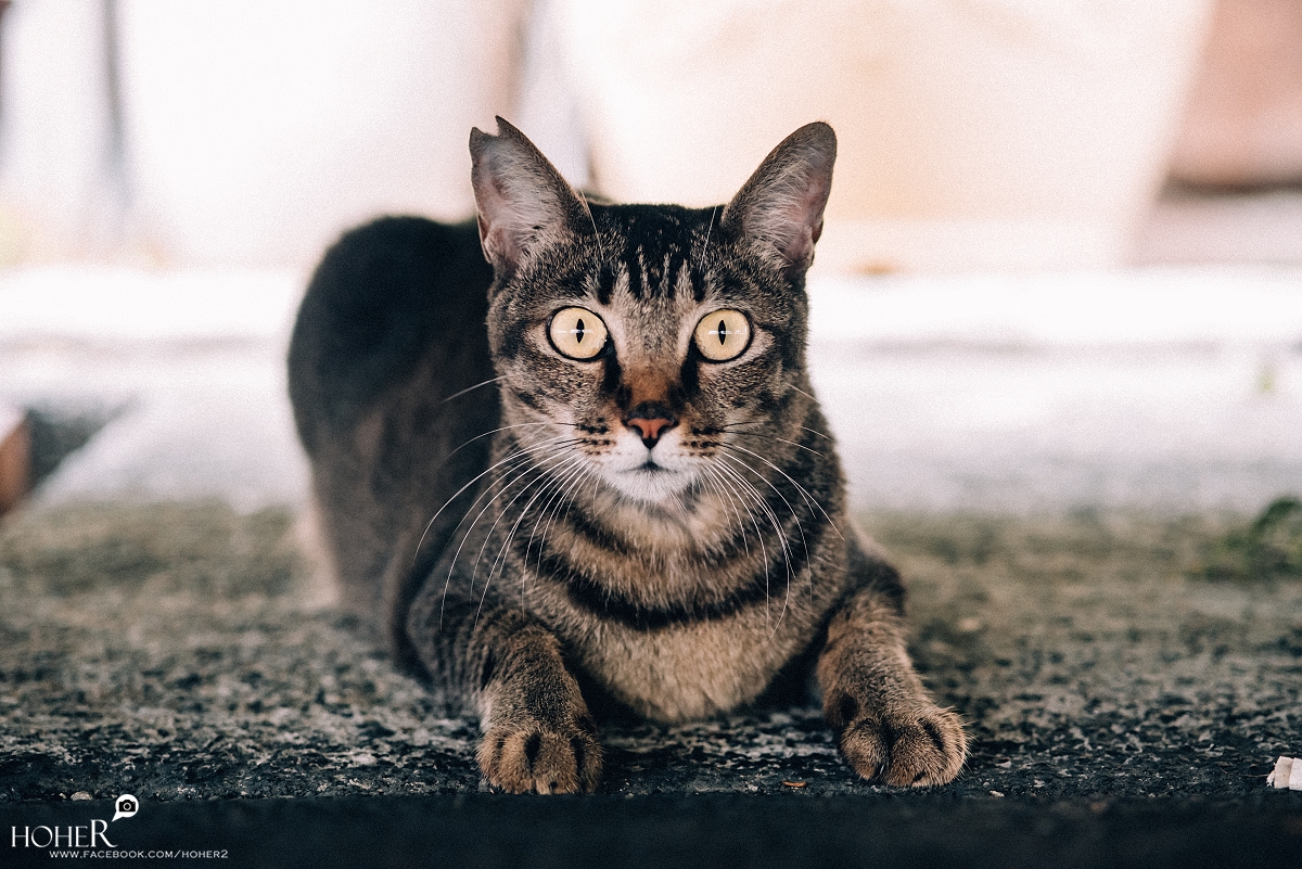 2025.10.15 sNaP(每日一拍) 2025.10.15 sNaP(每日一拍)