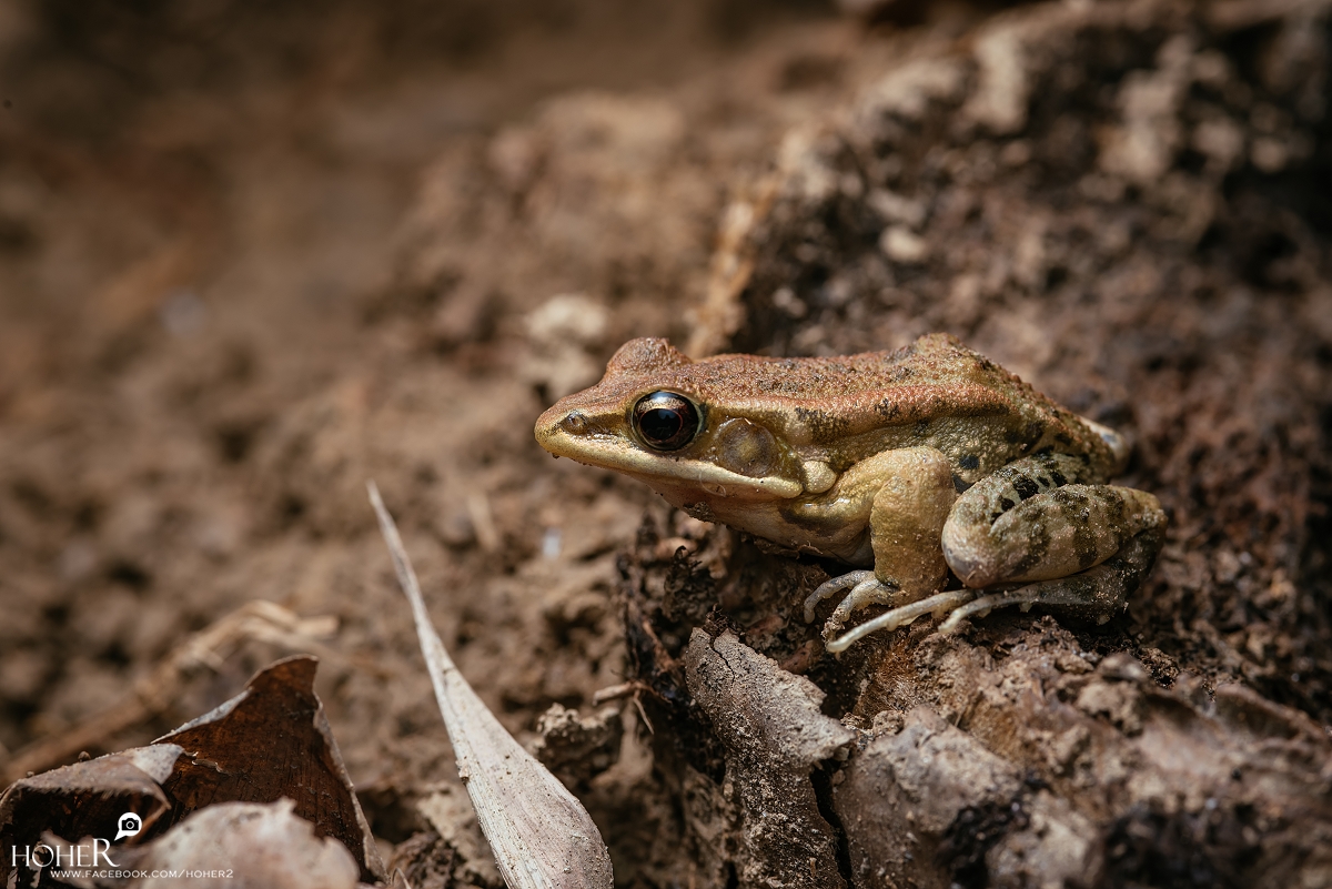 2025.10.19 sNaP(每日一拍)