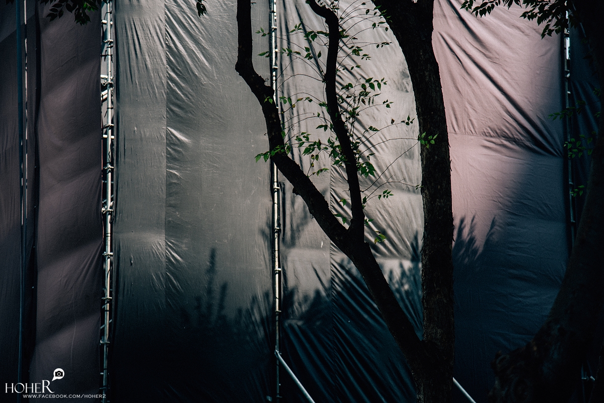 2025.10.17 sNaP(每日一拍) 2025.10.17 sNaP(每日一拍)