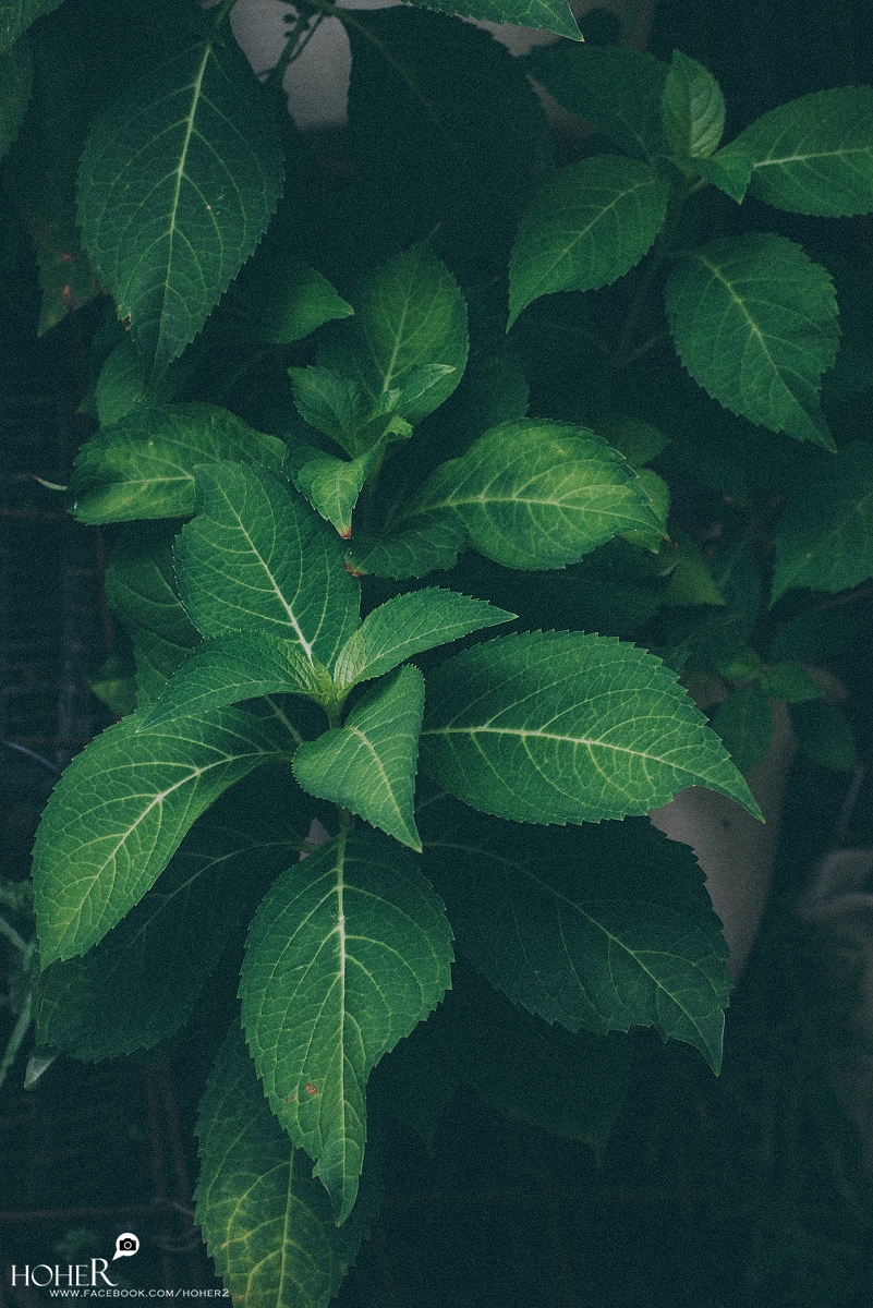 2025.10.21 sNaP(每日一拍)