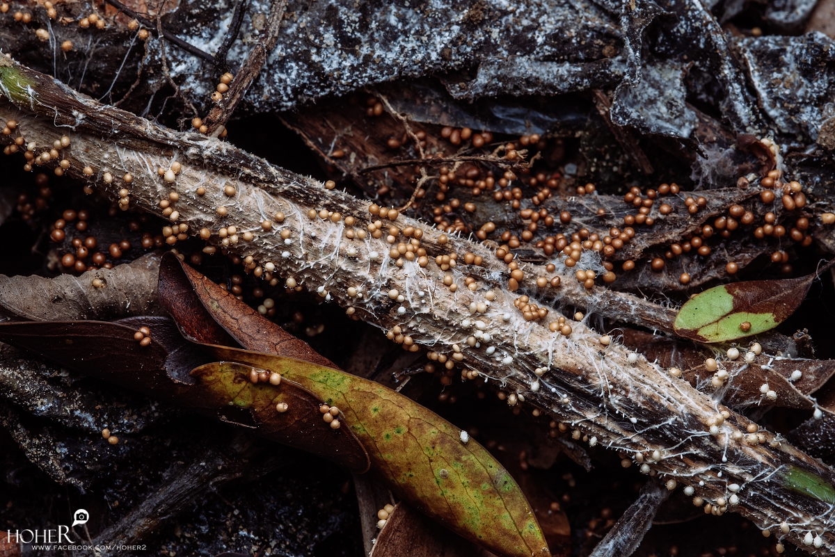 2025.10.16 sNaP(每日一拍)