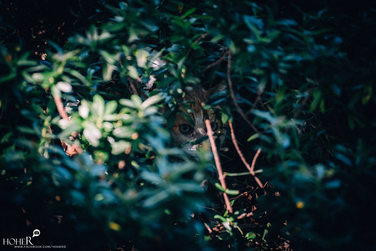 2025.10.14 sNaP(每日一拍) 2025.10.14 sNaP(每日一拍)