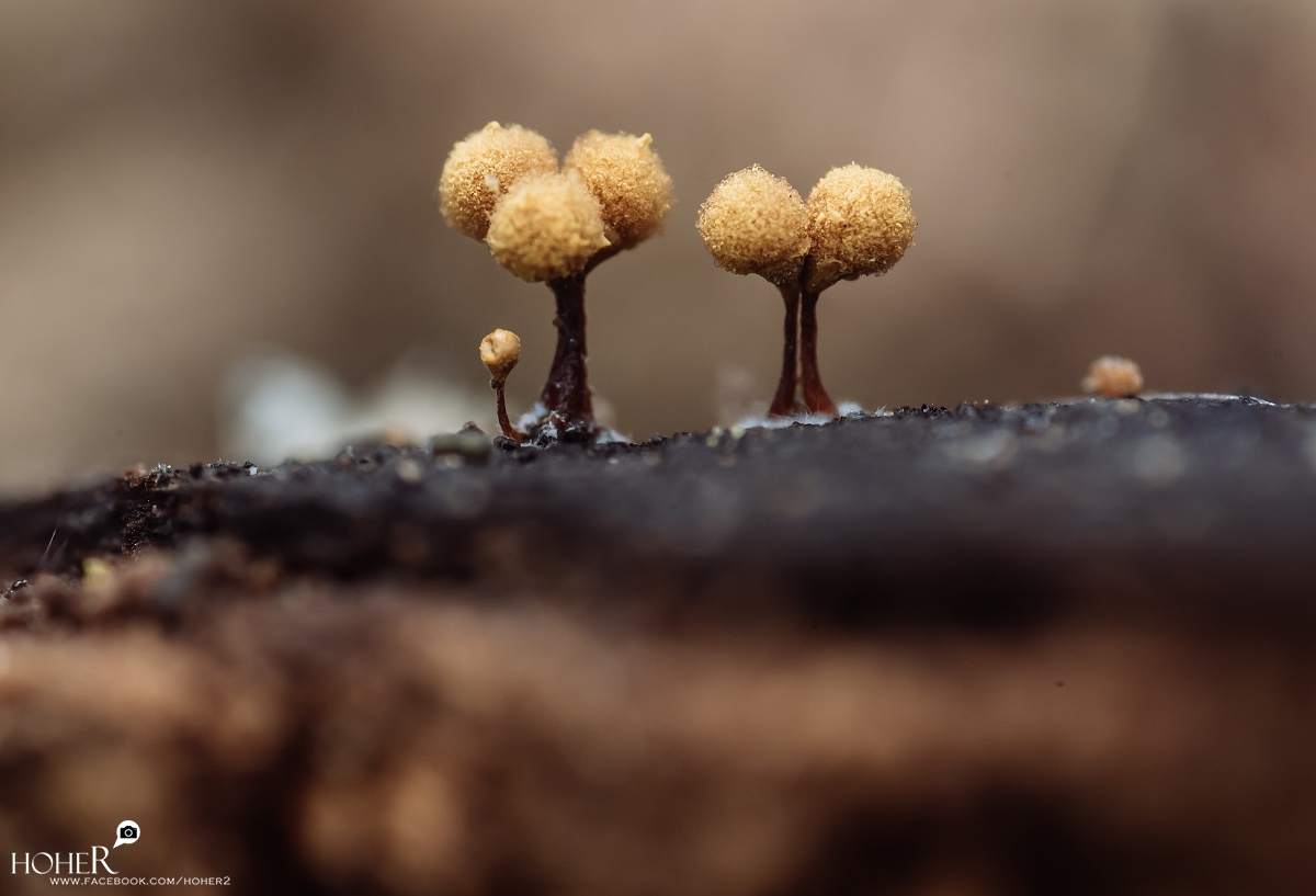 2025.10.30 sNaP(每日一拍)