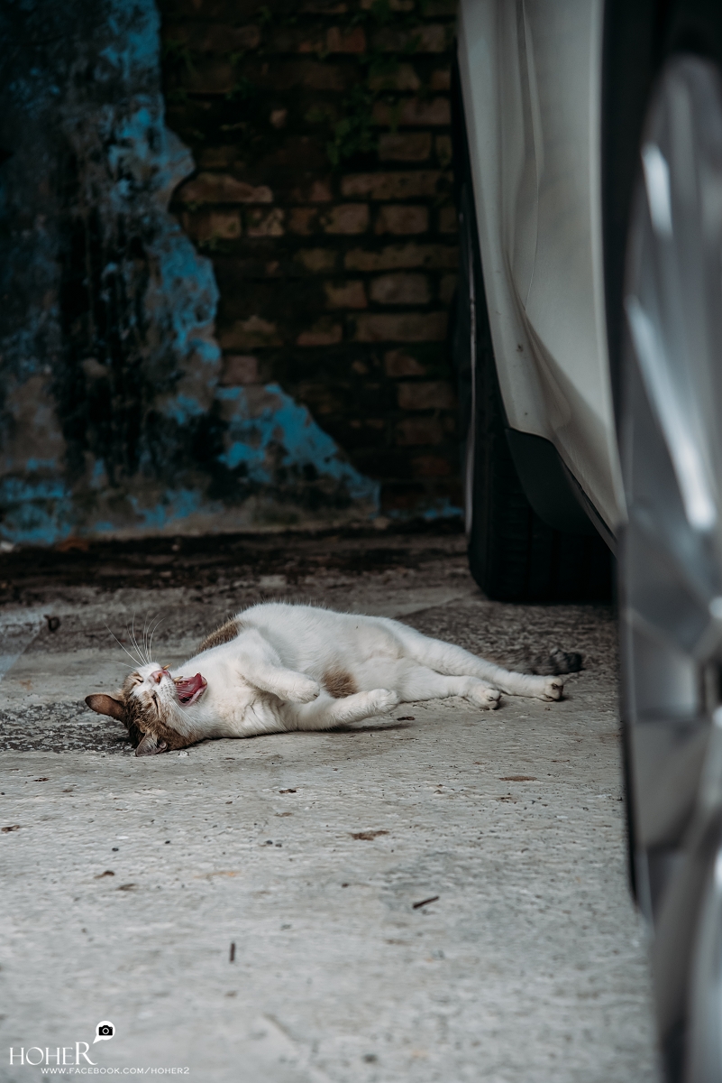 2025.10.27 sNaP(每日一拍)