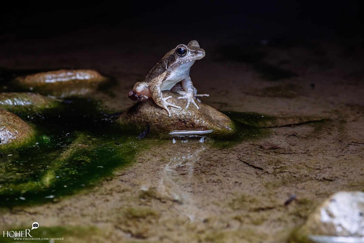 2025.10.25 sNaP(每日一拍)