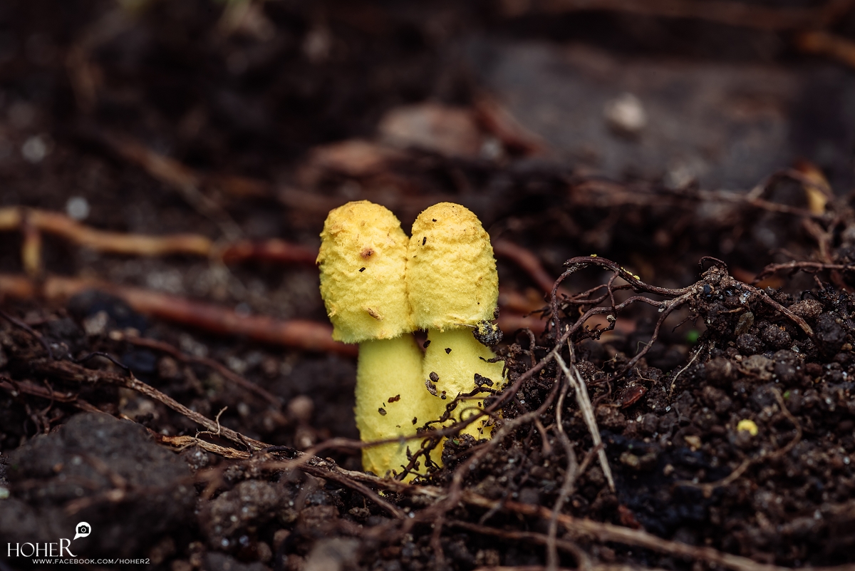 2025.11.06 sNaP(每日一拍)