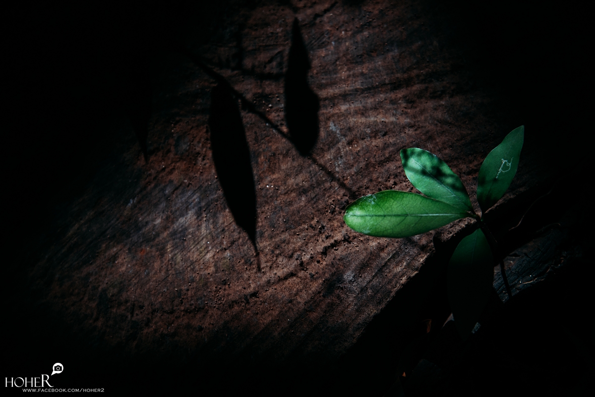 2025.11.05 sNaP(每日一拍)