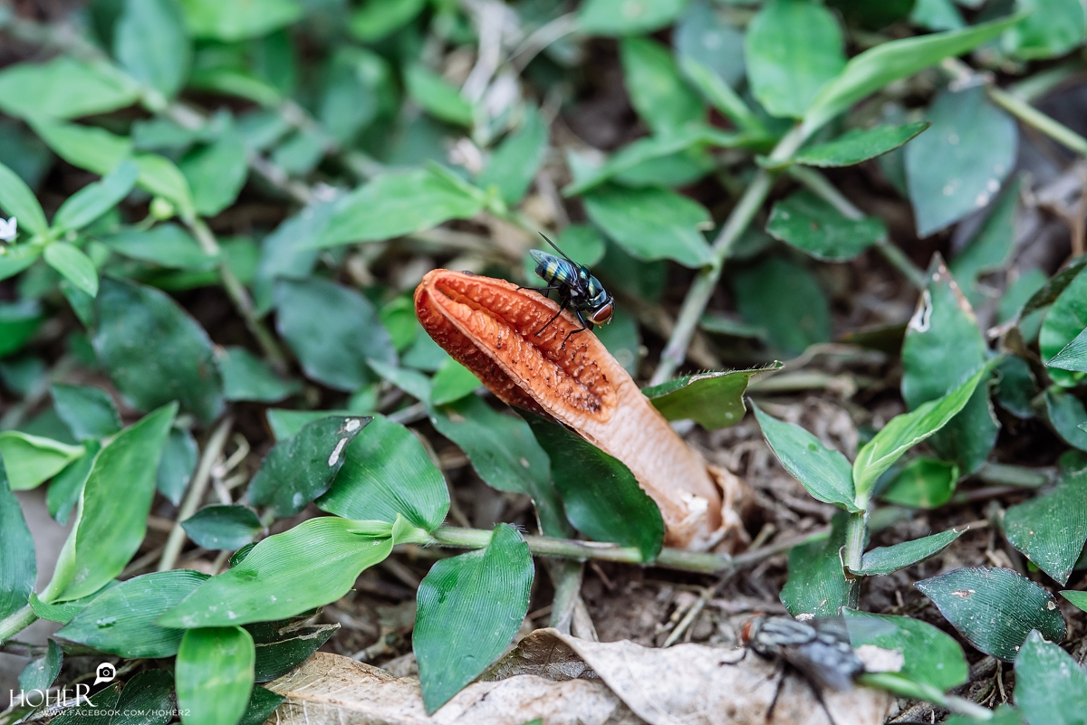 2025.11.11 sNaP(每日一拍)