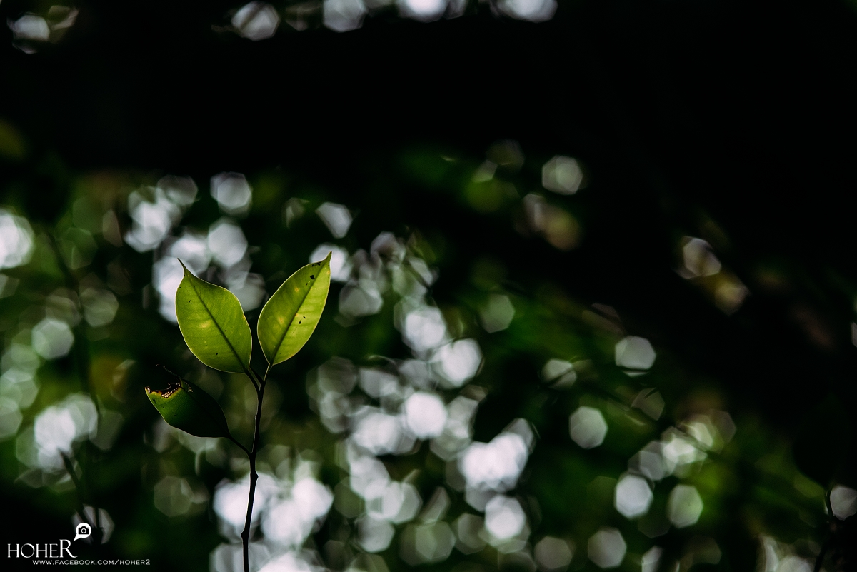 2025.11.13 sNaP(每日一拍)