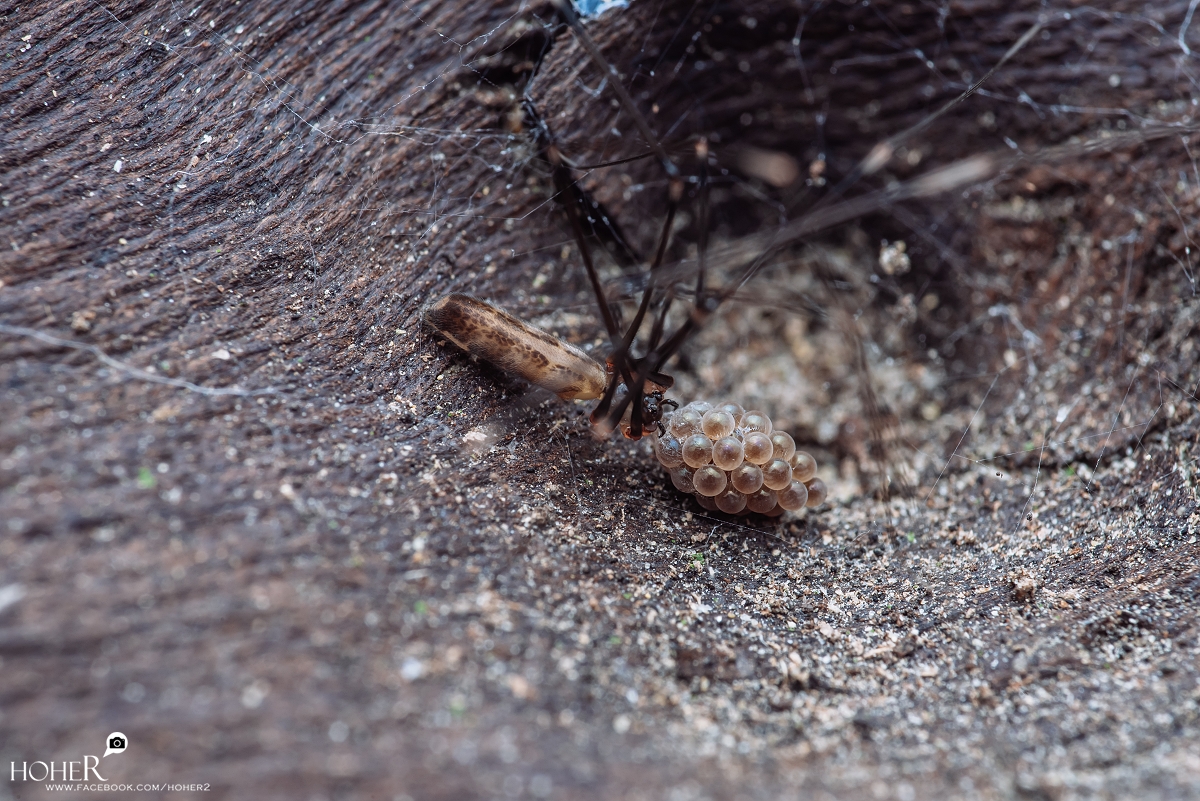 2025.10.29 sNaP(每日一拍)