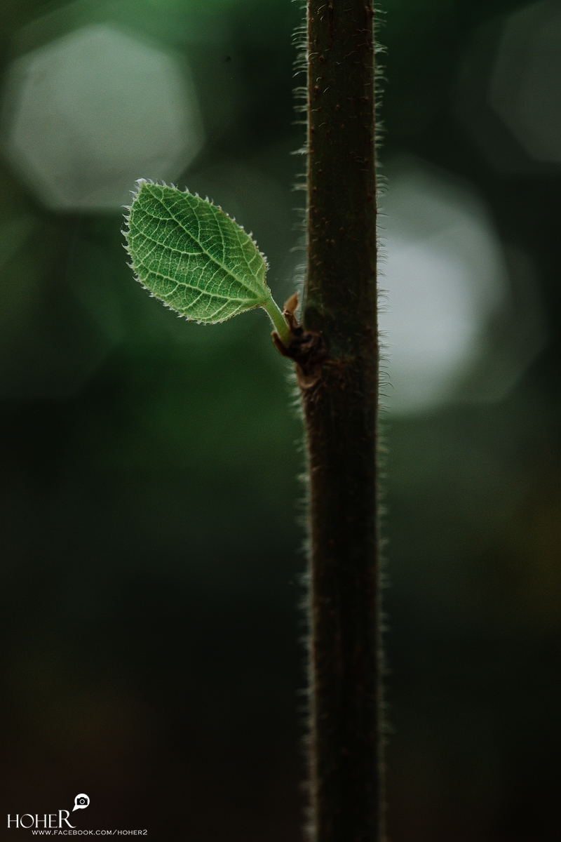 2025.11.18 sNaP(每日一拍)