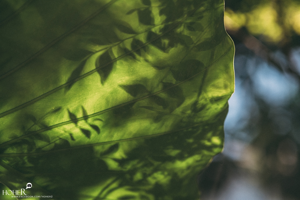 2025.11.14 sNaP(每日一拍)