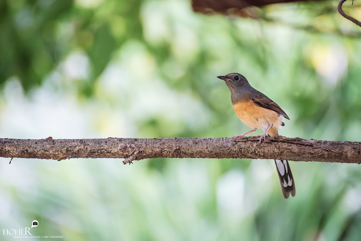 2025.10.24 sNaP(每日一拍)