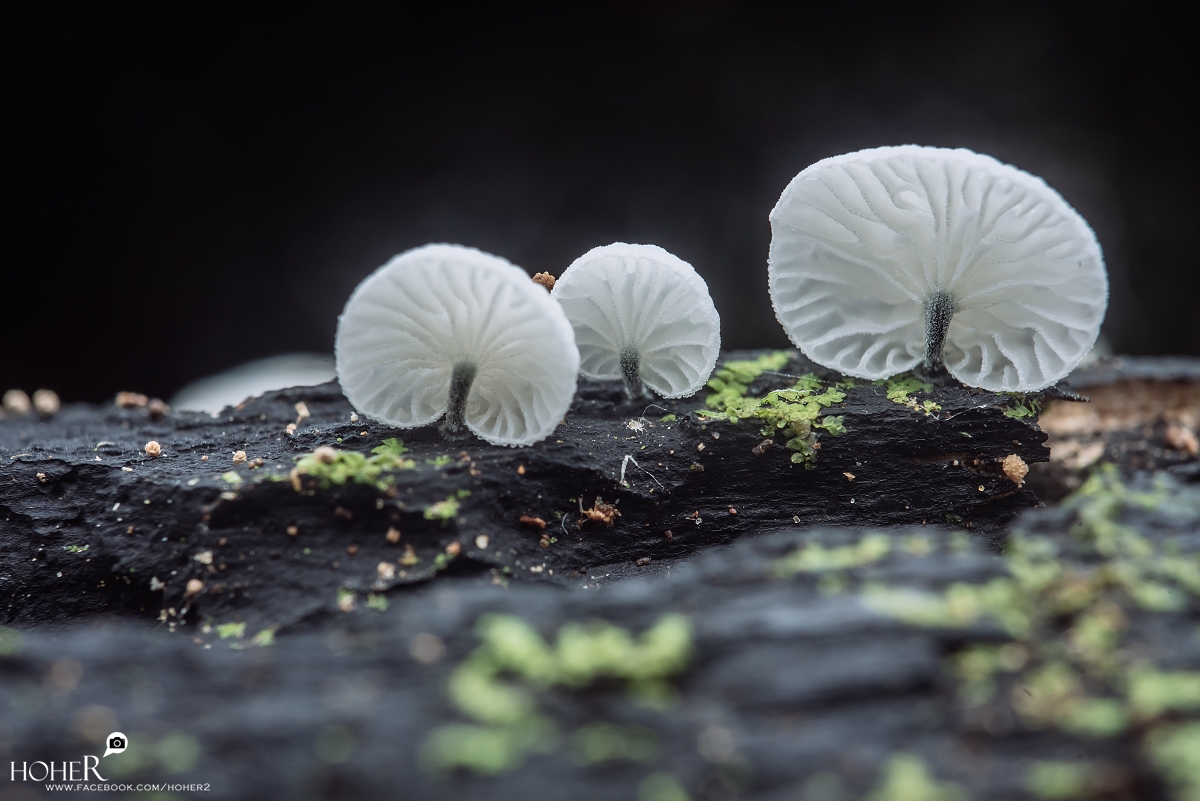 2025.11.03 sNaP(每日一拍)