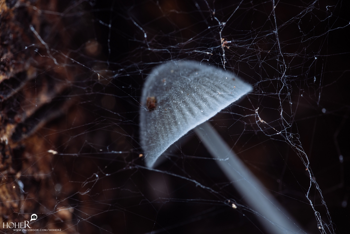 2025.10.28 sNaP(每日一拍)