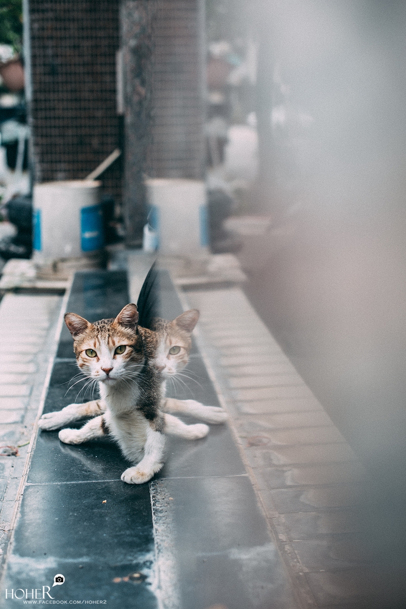 2025.10.23 sNaP(每日一拍)