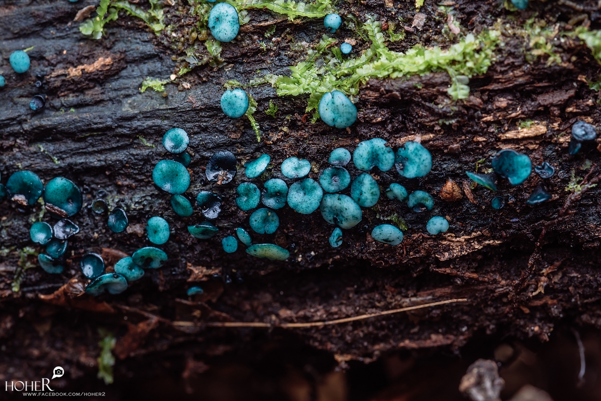 2025.11.01 sNaP(每日一拍)