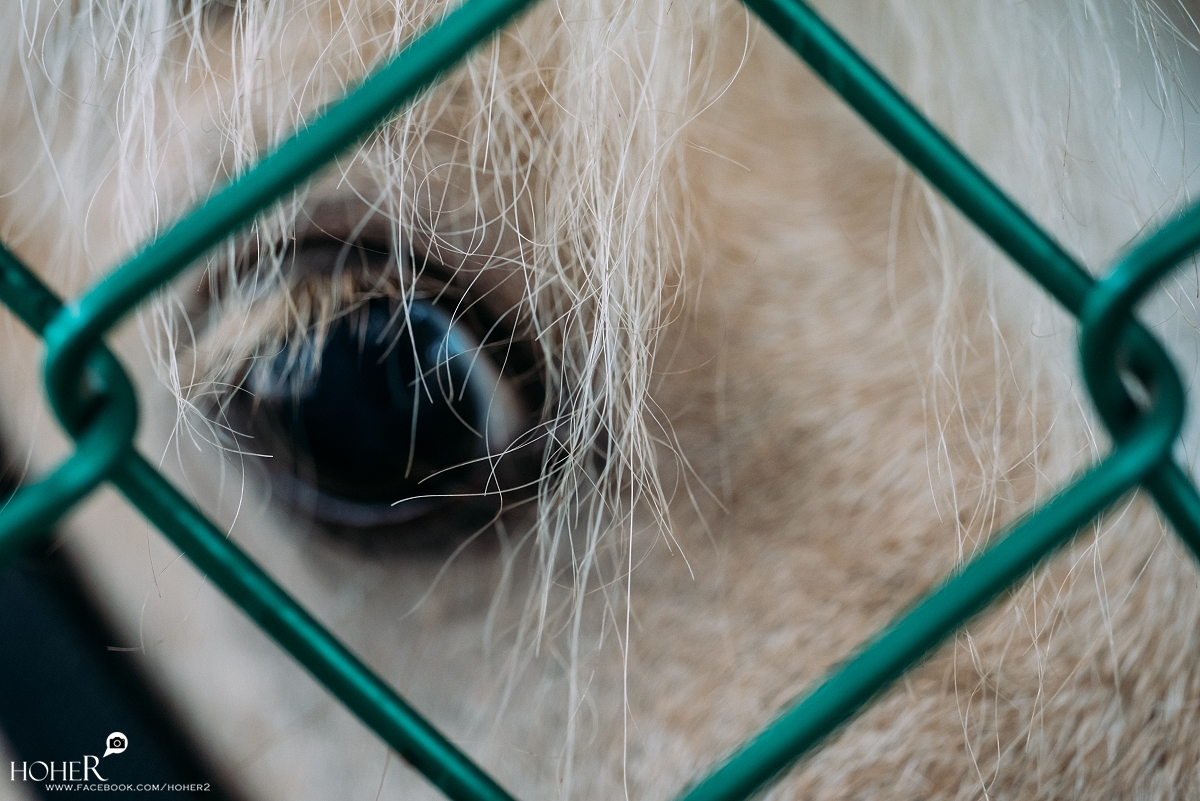 2025.11.02 sNaP(每日一拍)